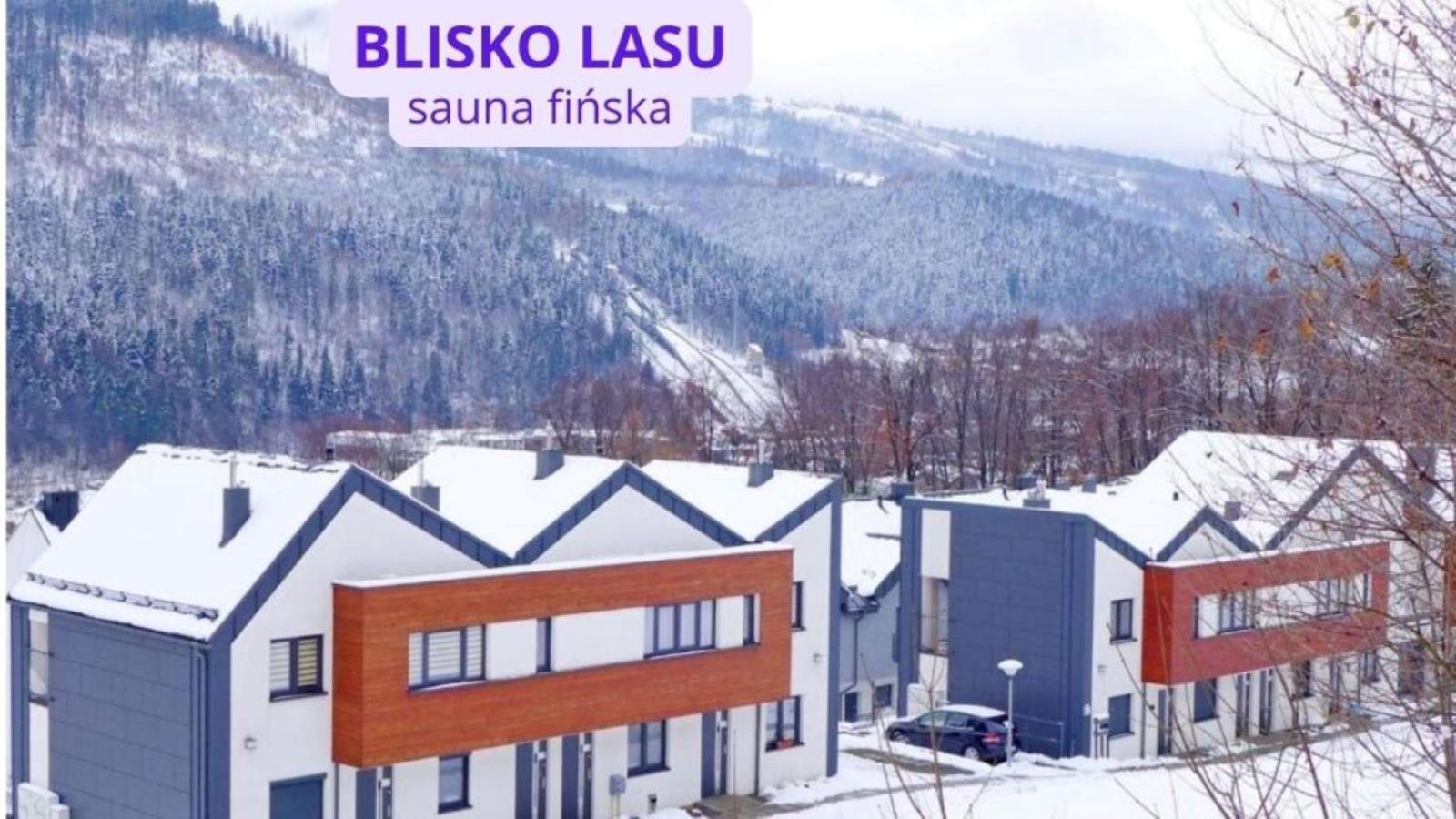 Apartamenty Zloty Widok Щирк Экстерьер фото